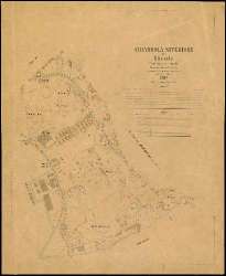 Chiarbola Superiore nel Litorale territorio di Trieste : distretto steorale di Trieste : litografato nell'i.r. Istituto litografico del Catasto secondo lo stato dell'anno 1900, misurato nell'anno 1860